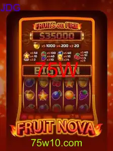 Descubra o Fascinante Mundo de FruitNova
